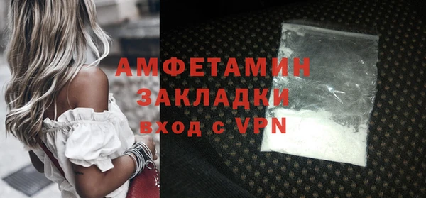 молекула духа Новозыбков