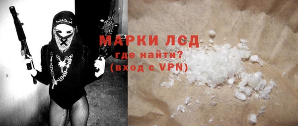 молекула духа Новозыбков