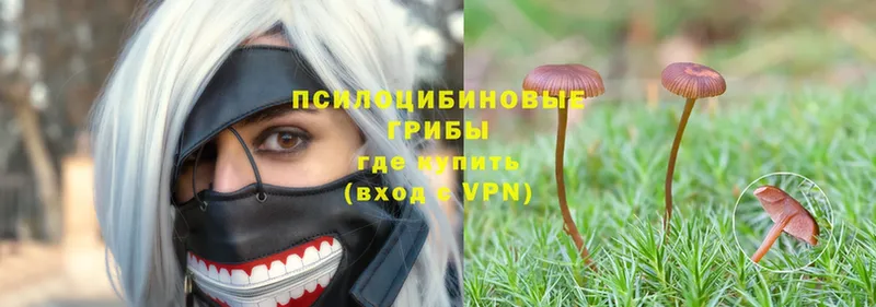 закладка  hydra как зайти  Галлюциногенные грибы Psilocybe  Мосальск 